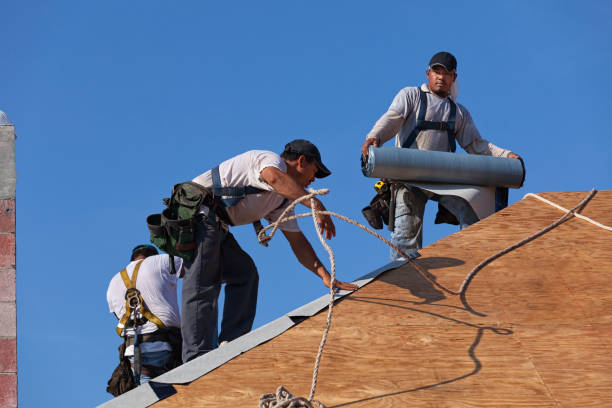 Best Gutter Installation and Roofing  in Devola, OH