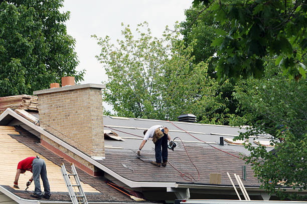 Best Storm Damage Roof Repair  in Devola, OH