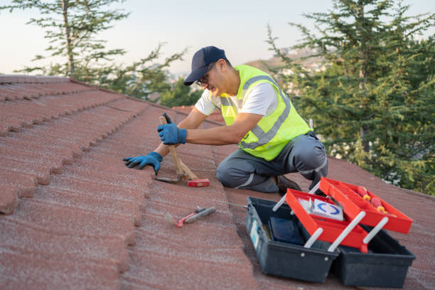 Best Roof Leak Repair  in Devola, OH